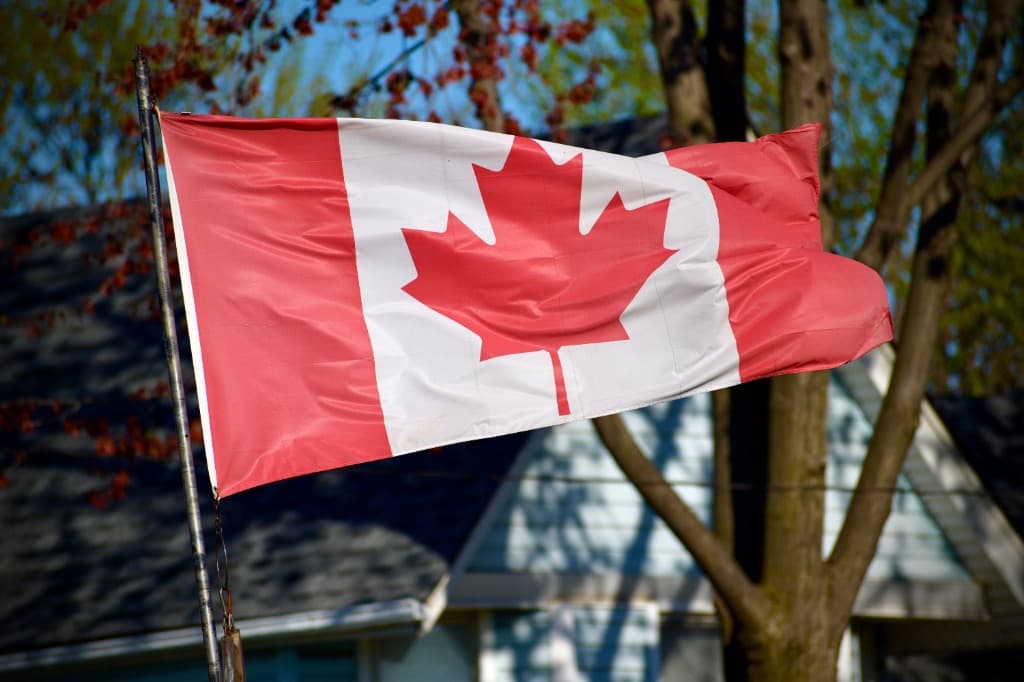 Study abroad in Canada with Curatrix Private Limited