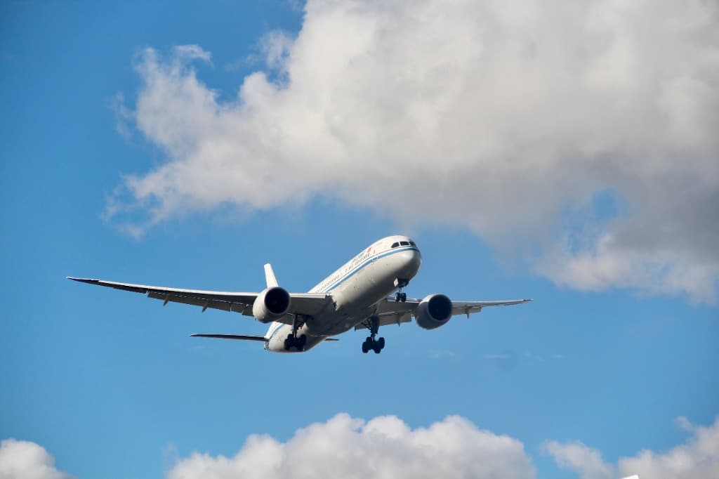 Global Tourist Travel and Visa Assistance - Curatrix Private Limited